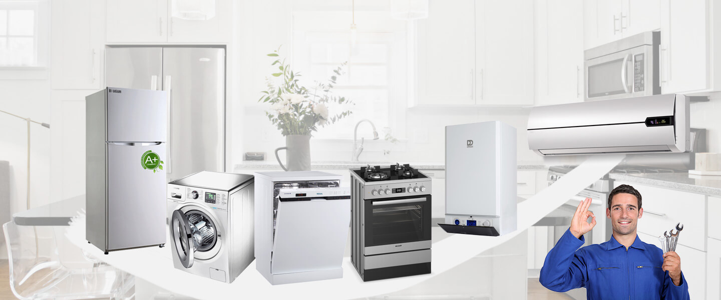 Vakfıkebir Vaillant Servisi